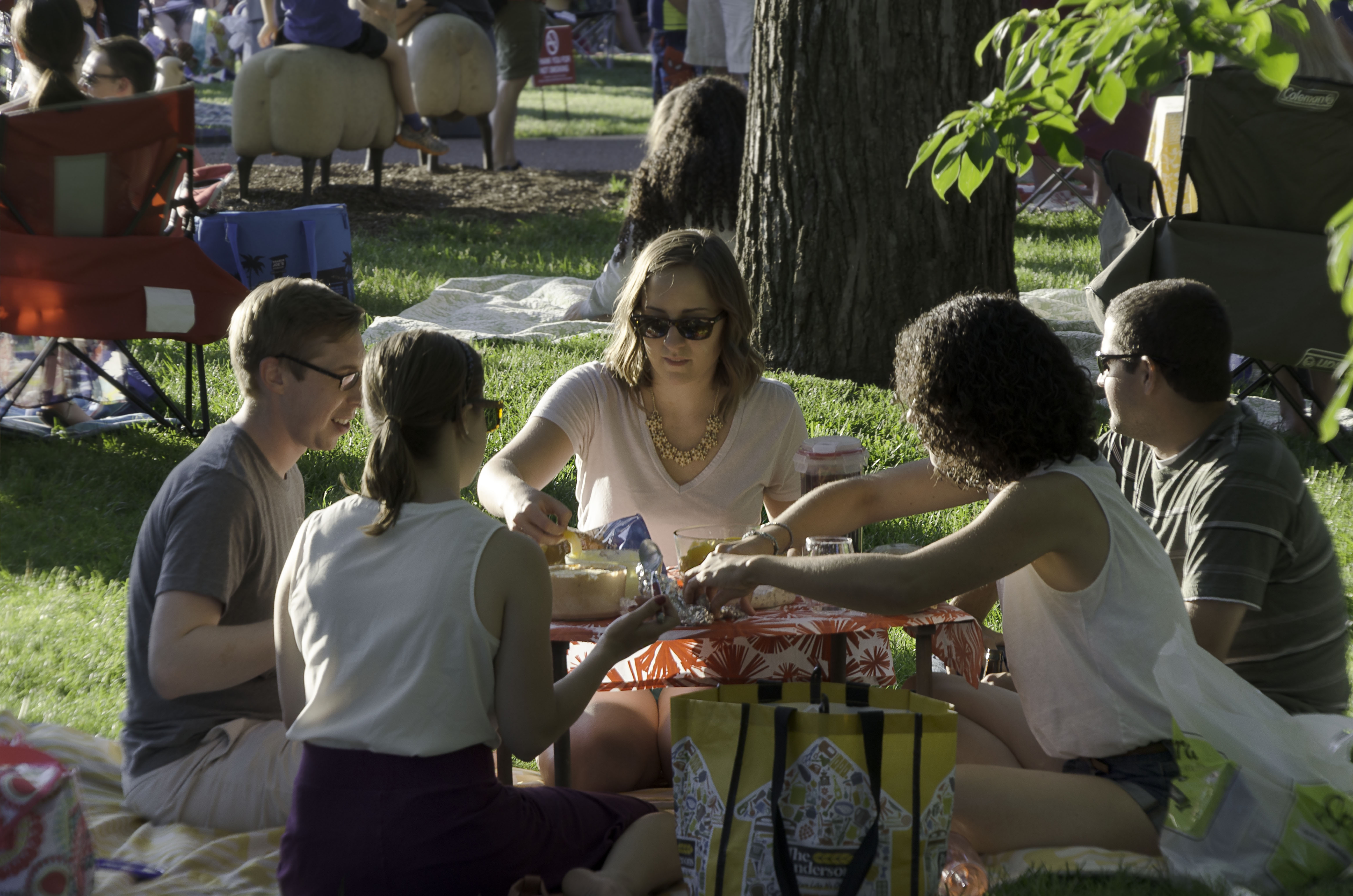 How to Keep Your Summer Picnic Sustainable