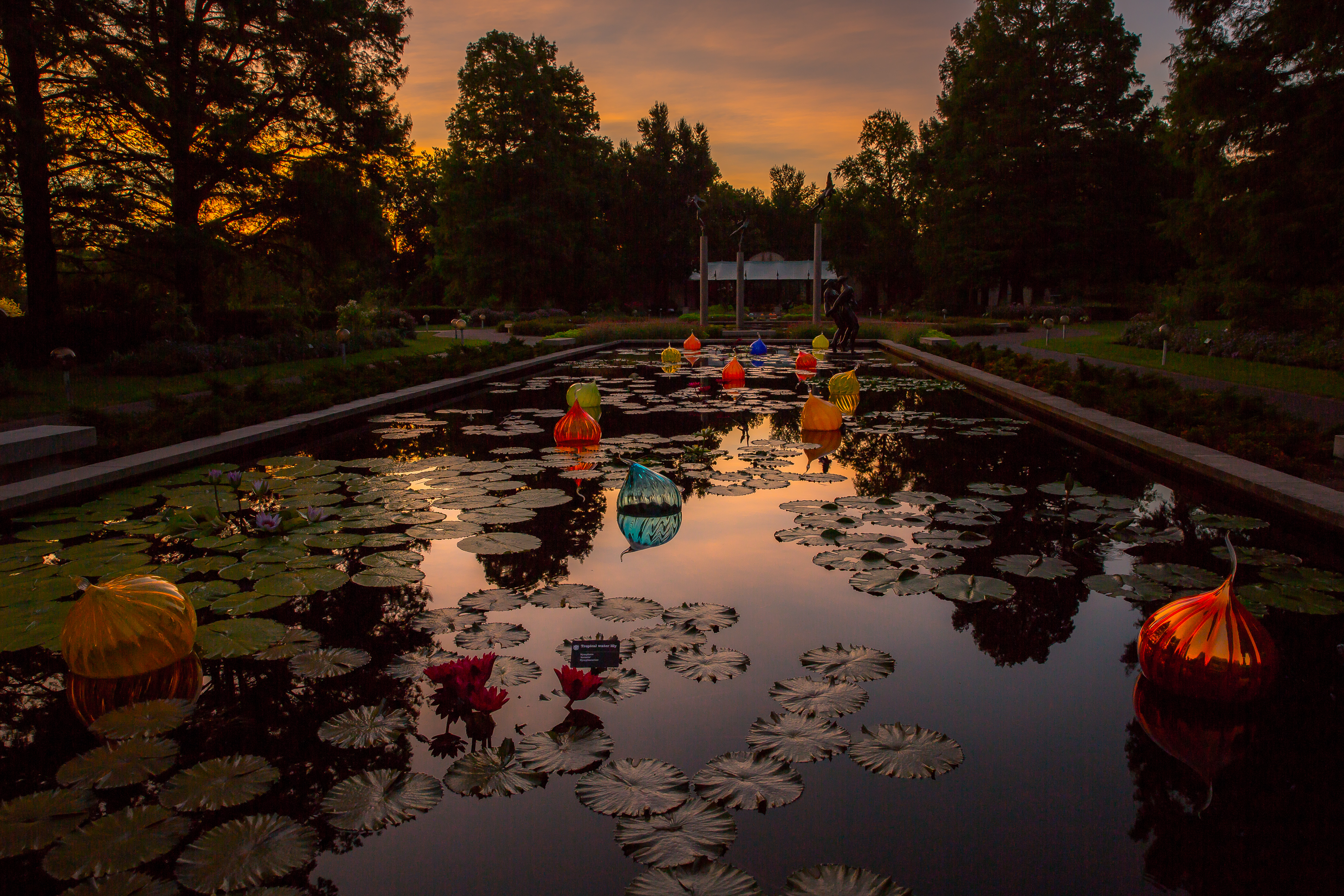 Your Garden At Night