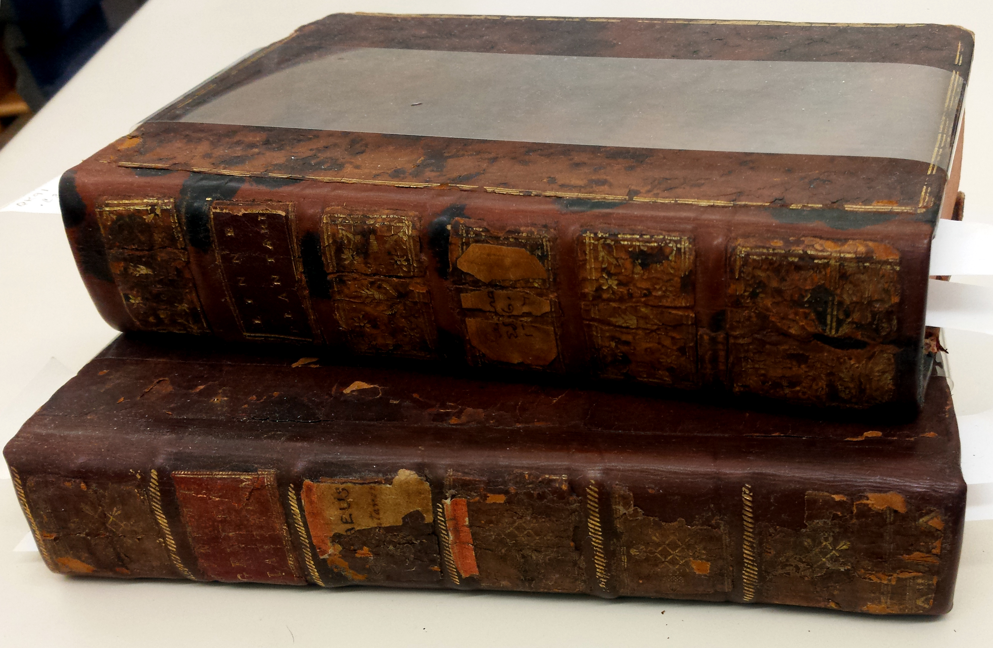 From the Library: Analyzing a Mystery Book