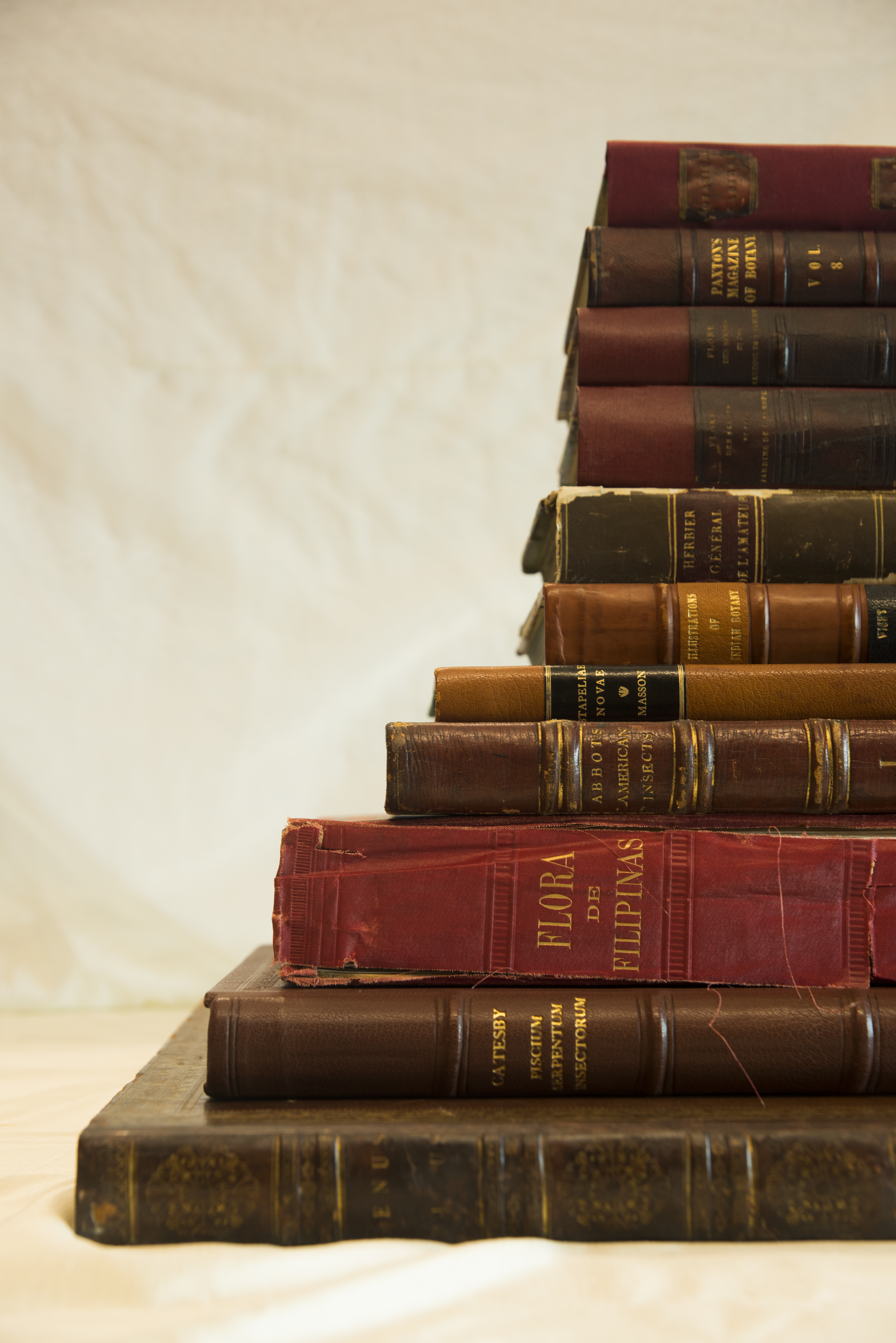 From the Library: Ancient Books Given Another Chance