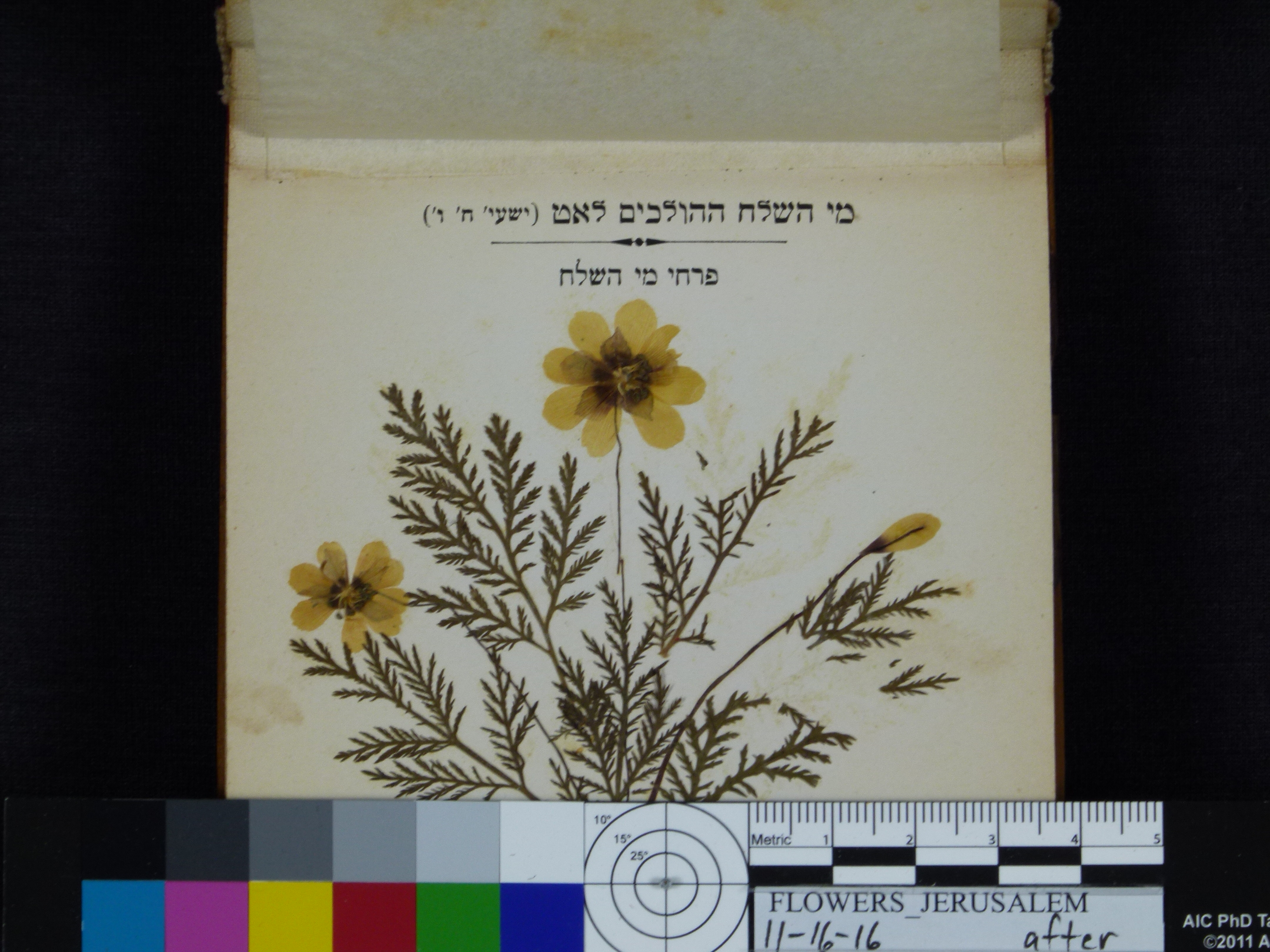 From the Library: A Different Kind of Conservation - Discover + Share