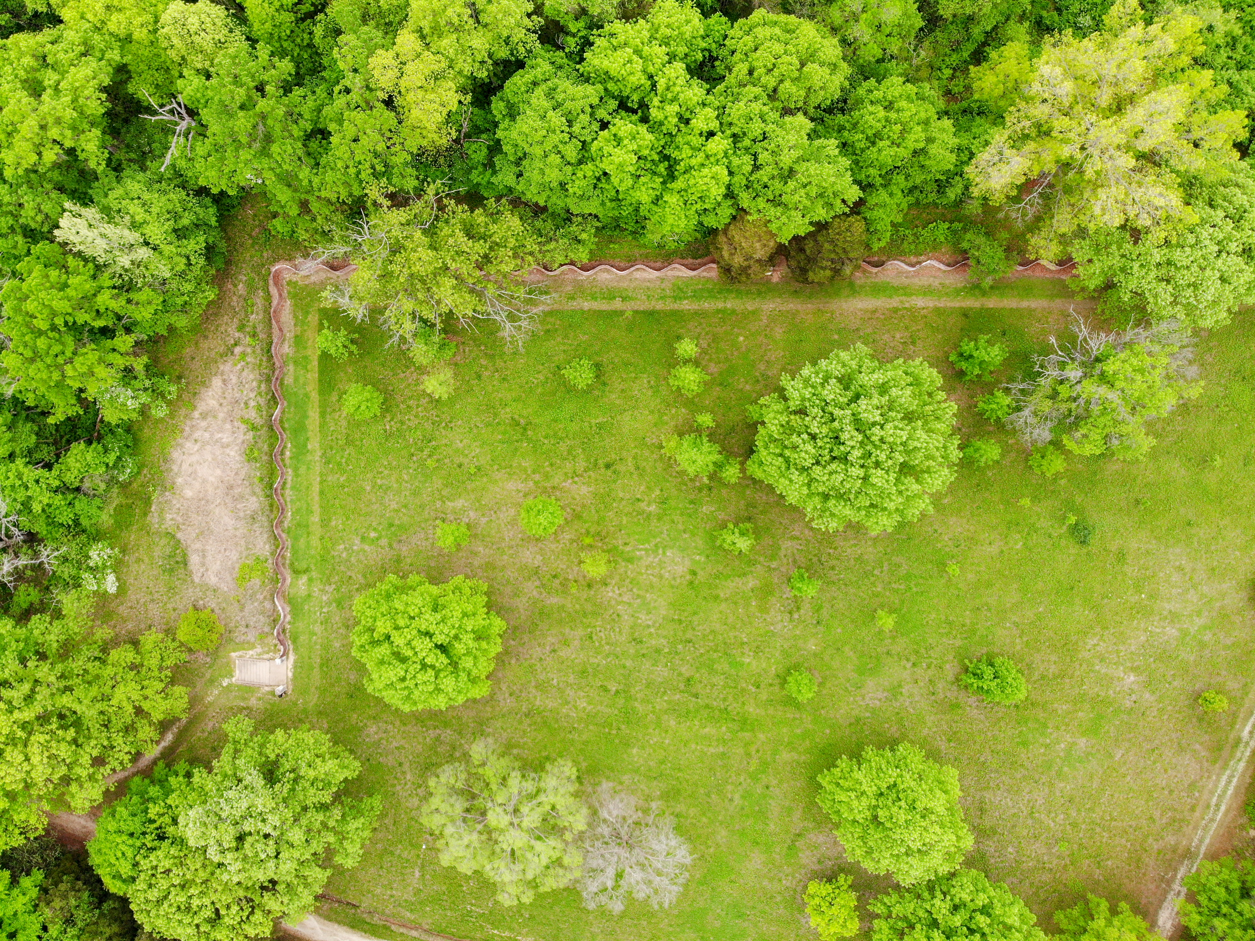 Botany by Drone Takes Off at Shaw Nature Reserve