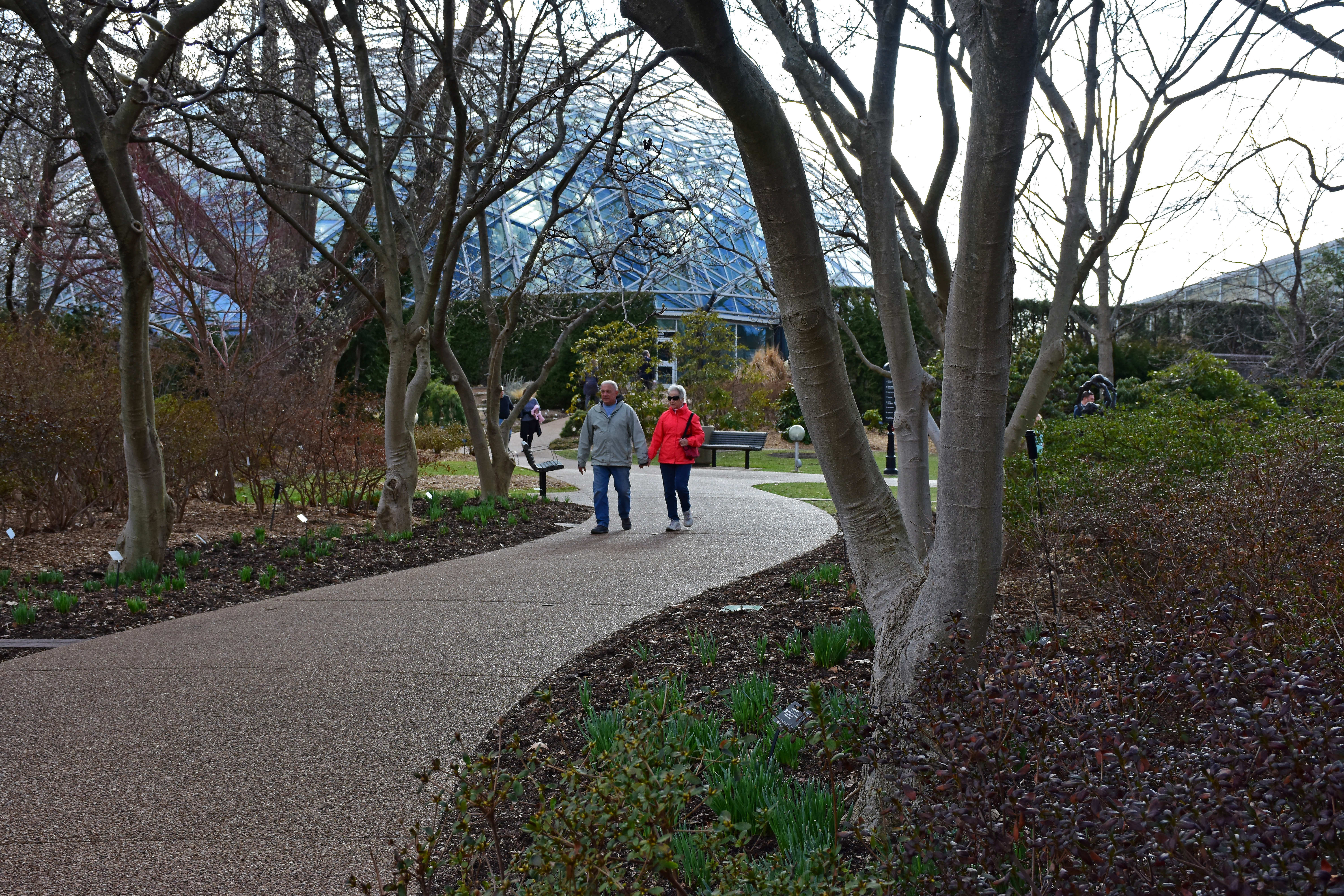 Winter Checklist for Your Garden