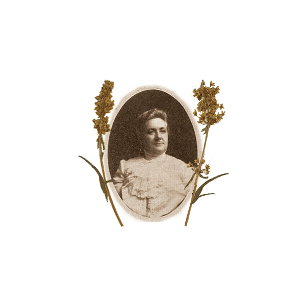 Dr. Anna Isabel Mulford: Botanical Groundbreaker