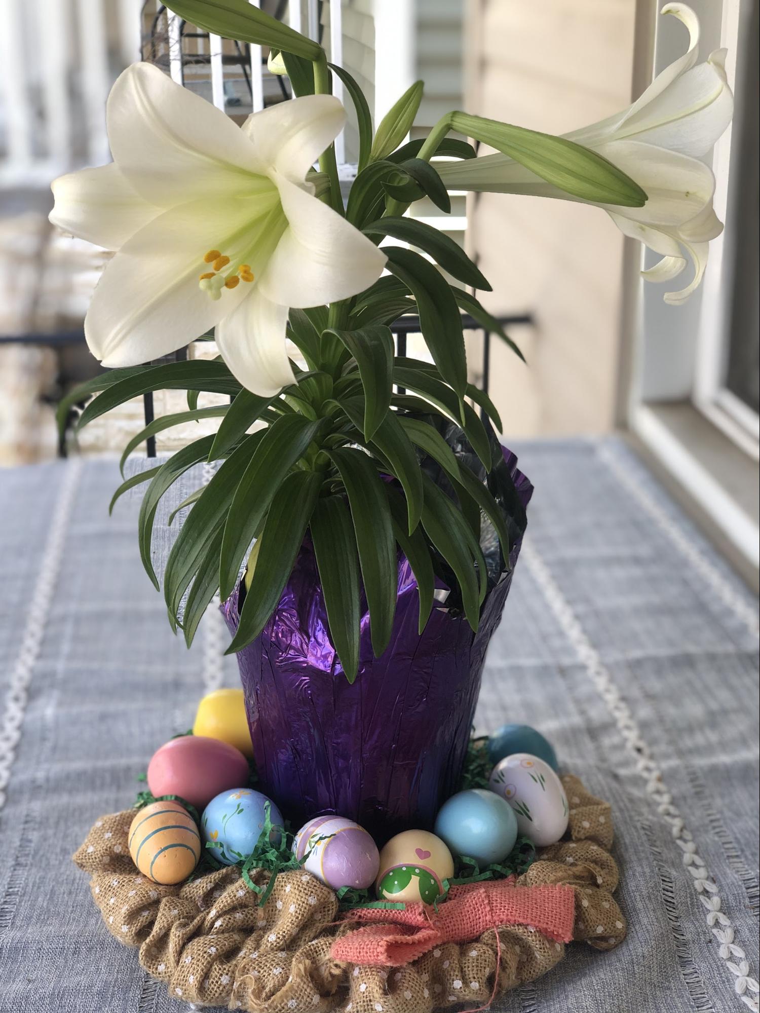 All About Easter Lillies