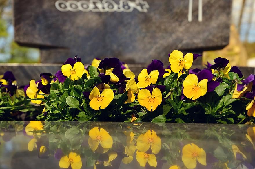 Death Plants: Plants and their symbolism in graveyards