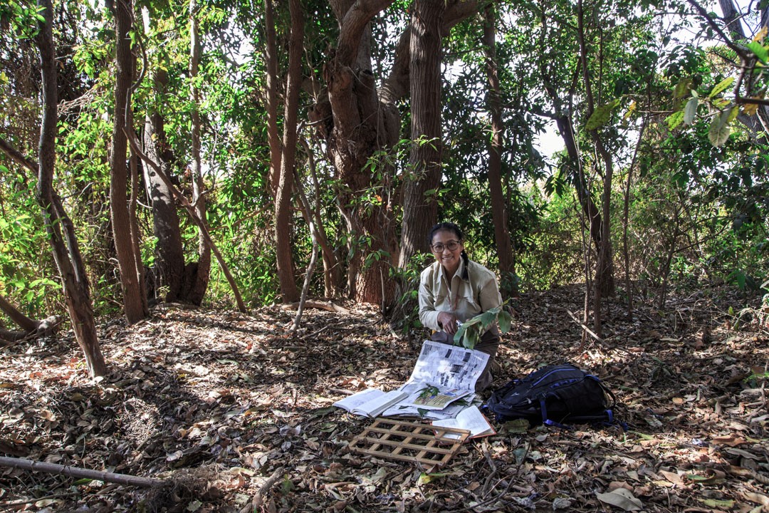 National Geographic Honors Garden Researcher for Conservation Work in Madagascar