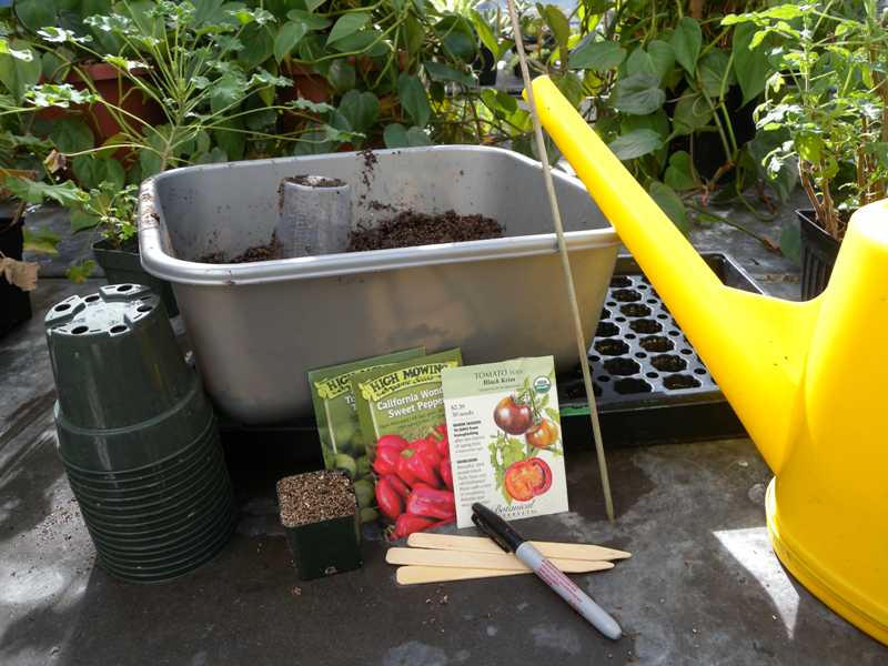 Starting Seeds Inside in Winter