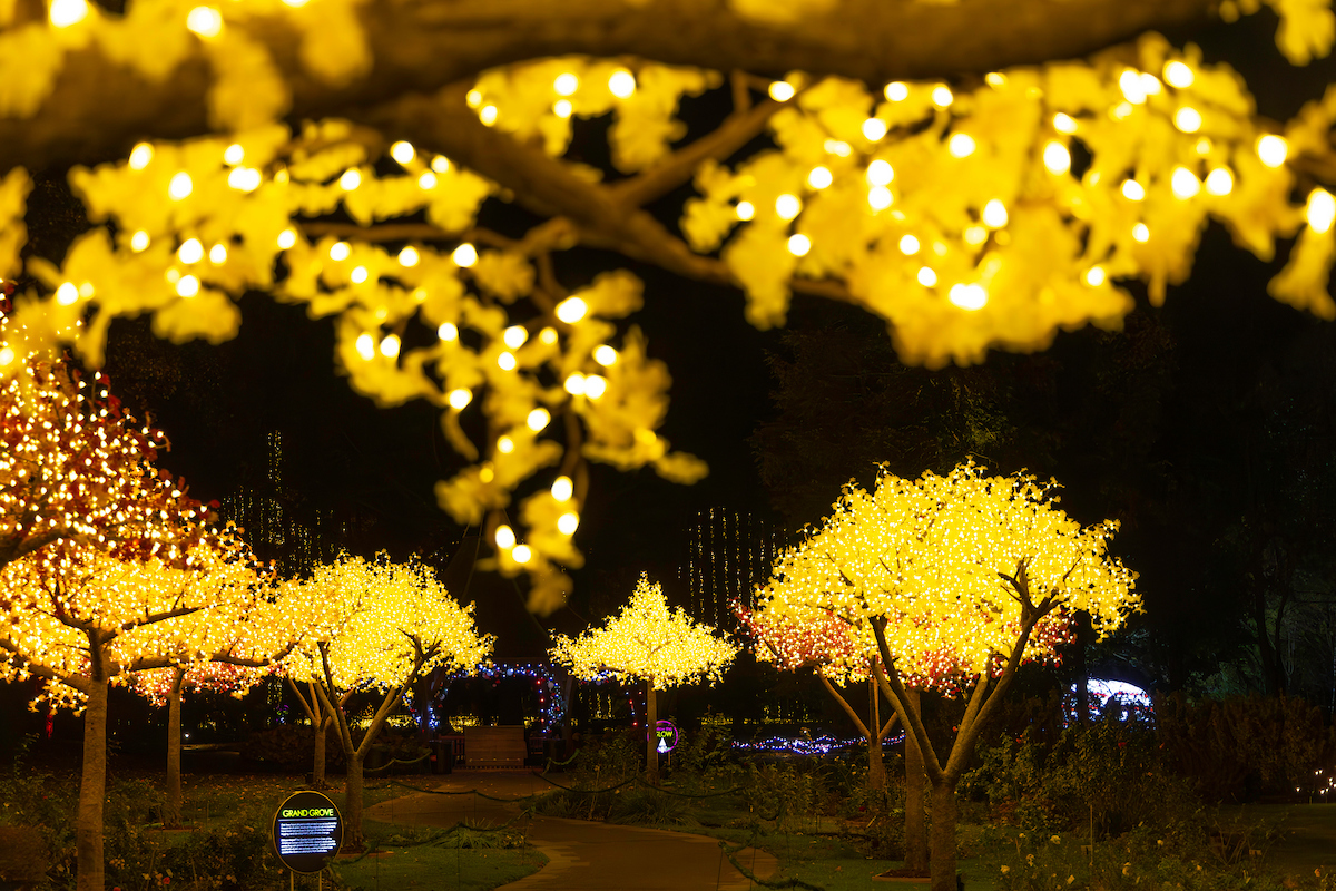 Visitor’s Guide: Garden Glow 2024