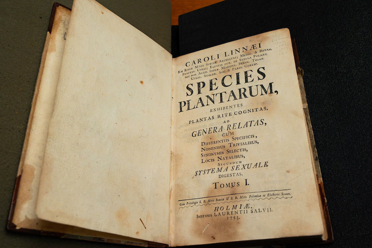 Discover The Peter H. Raven Library at the Missouri Botanical Garden