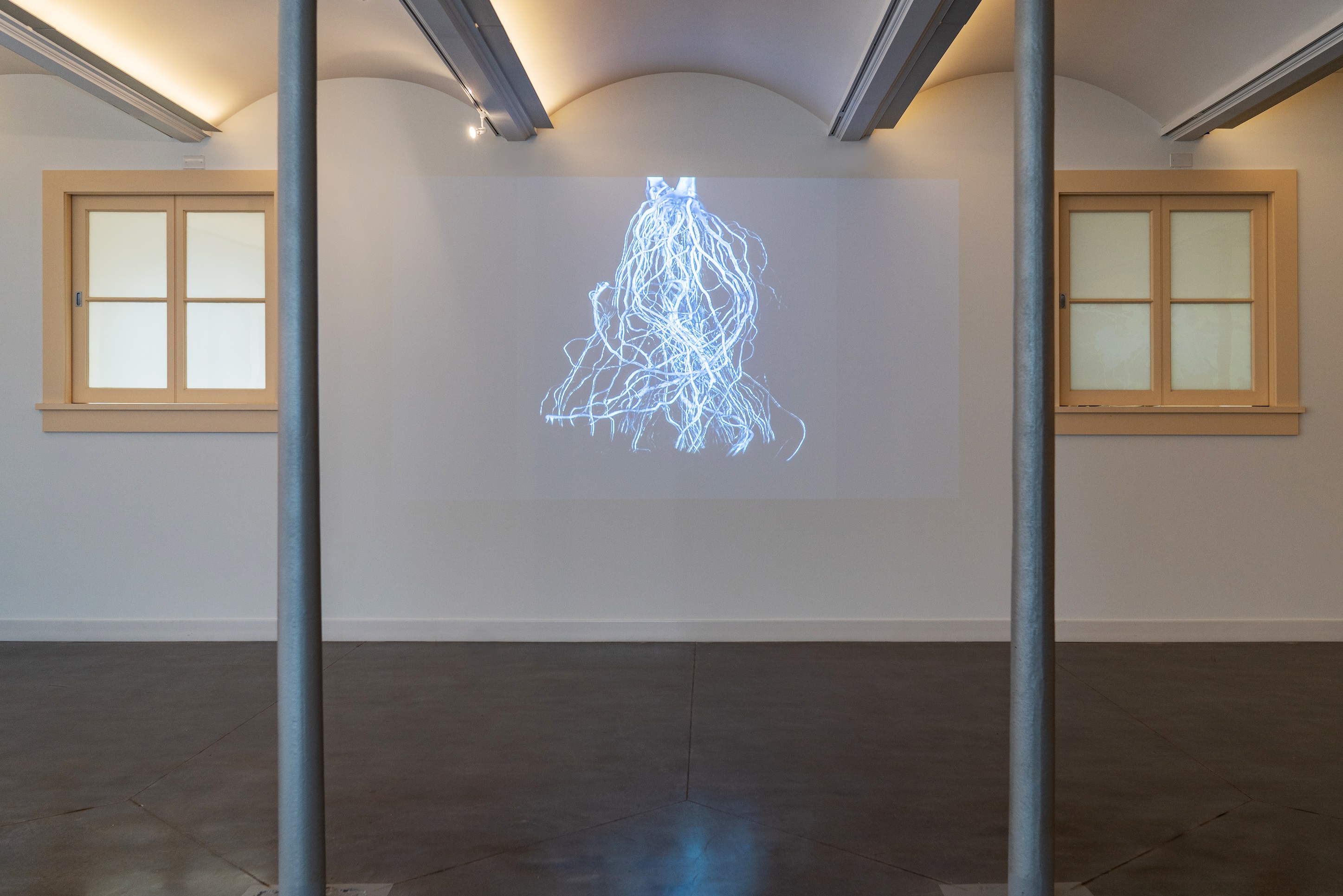 Grafting the Grape: Behind the Artwork