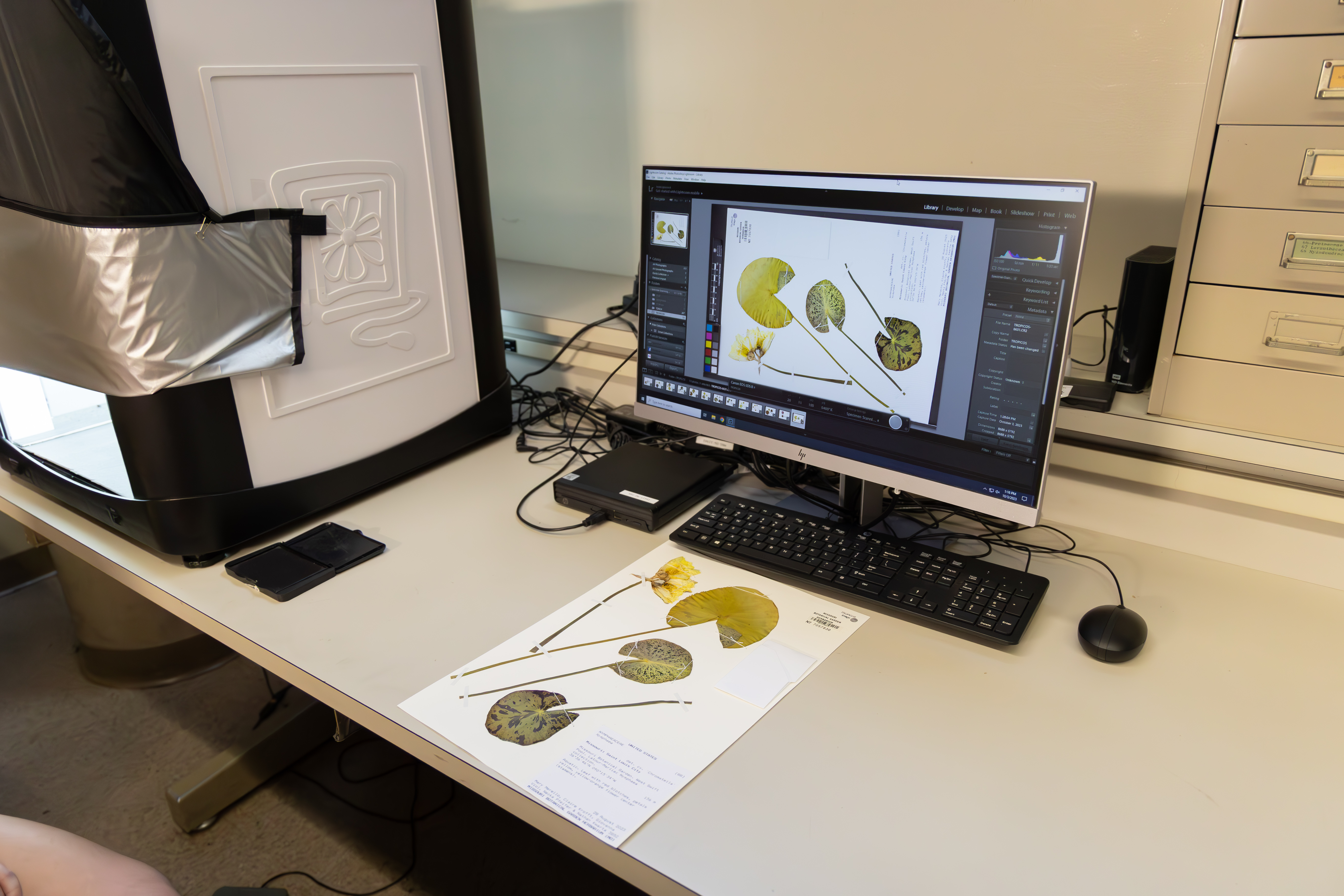 Revolutionizing Species Identification in the Missouri Botanical Garden’s Herbarium