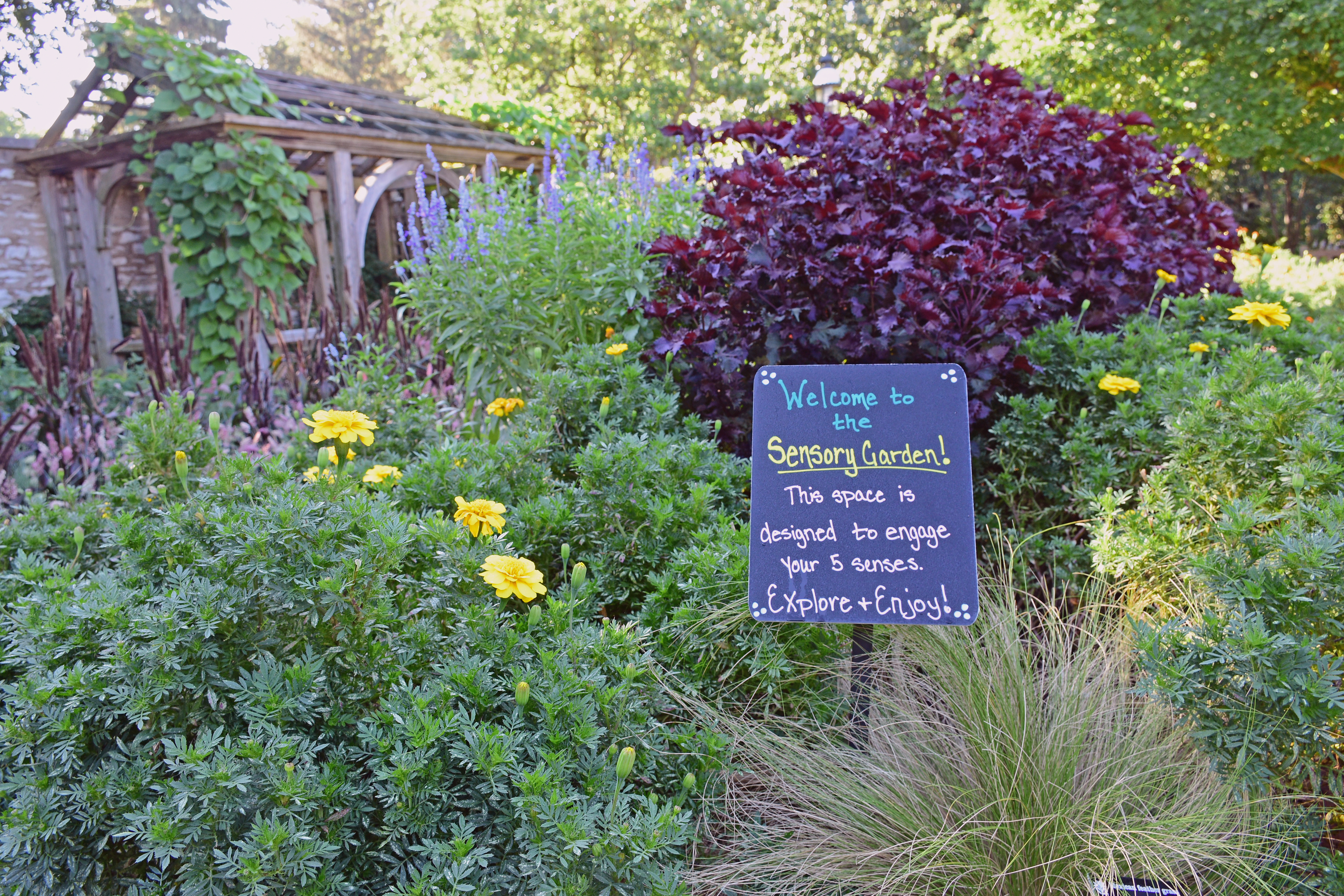 Therapeutic Horticulture at Home