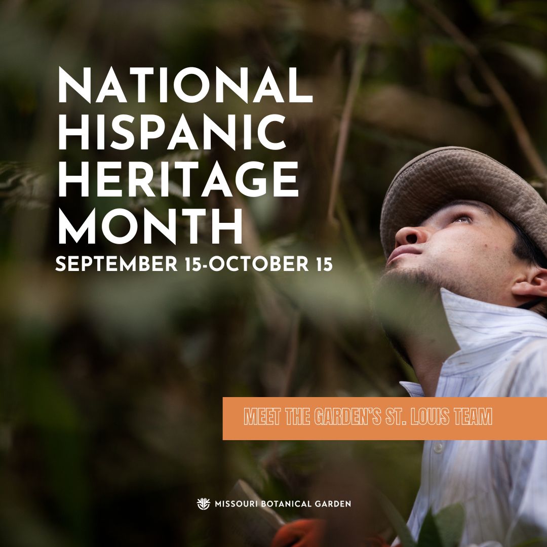Hispanic Heritage Month: The Garden’s St. Louis Team