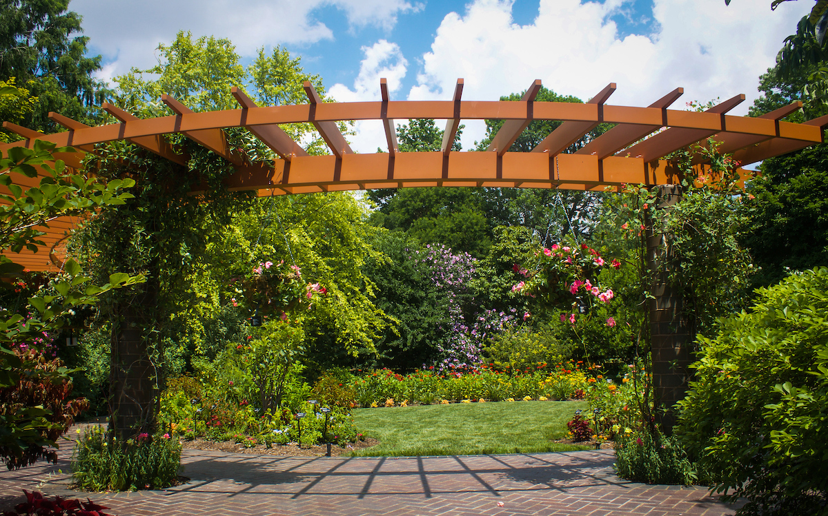 Plant Finder: Missouri Botanical Garden’s best tool for home gardeners