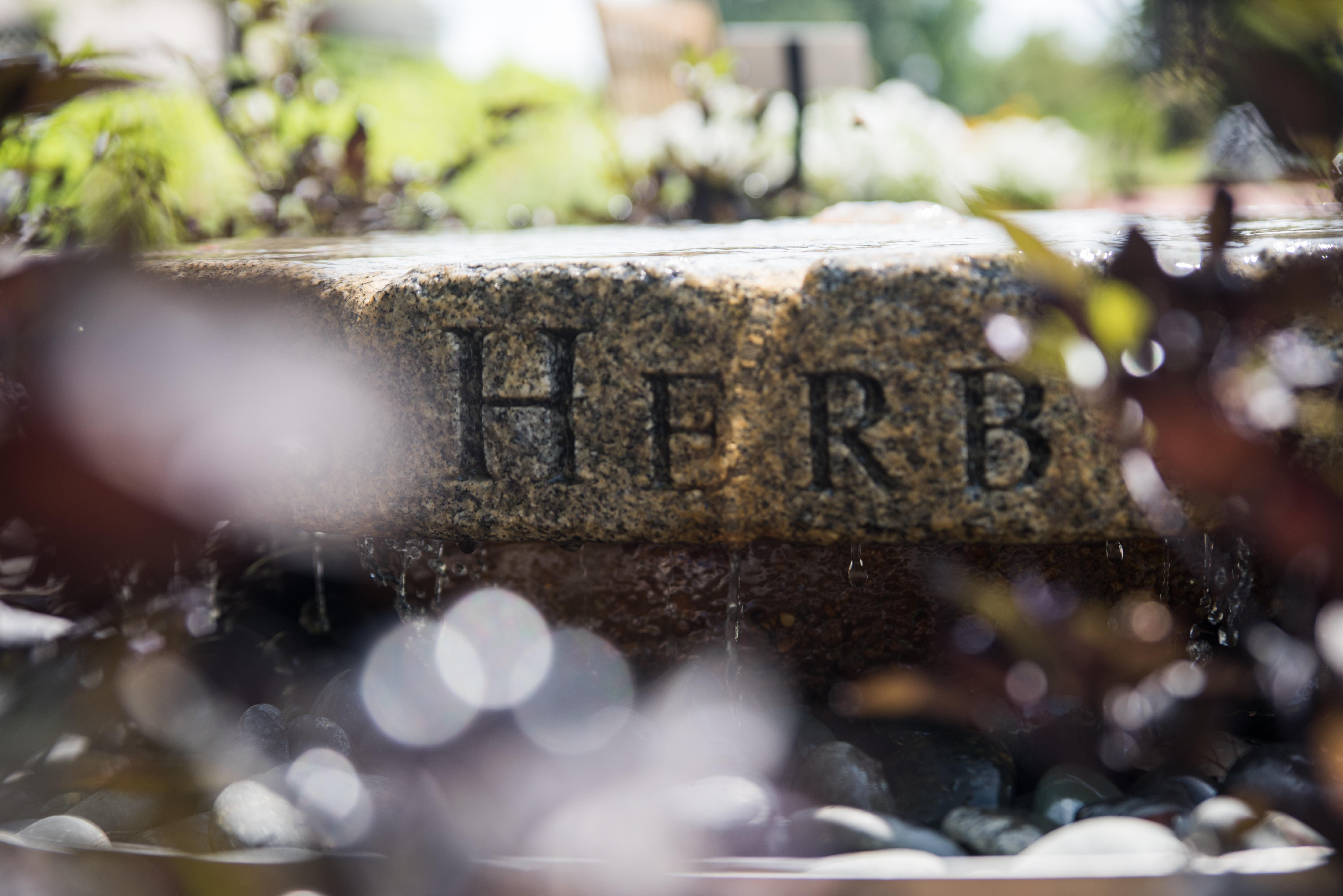 The St. Louis Herb Society Celebrates 80 Years with First-ever Online Herb Sale