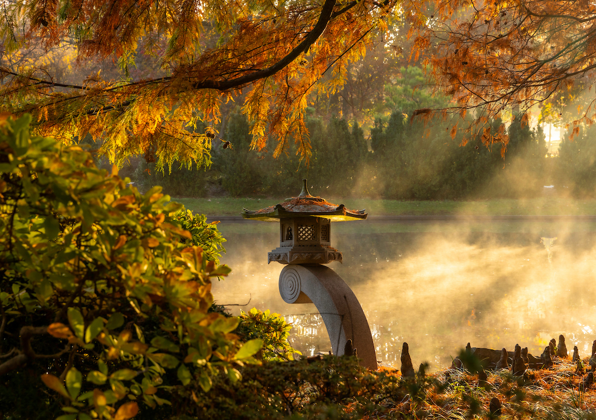 5 Tips for bringing Zen to your garden