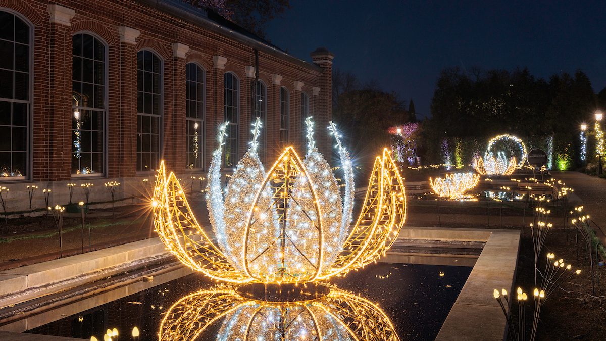 What’s New At Garden Glow in 2025?