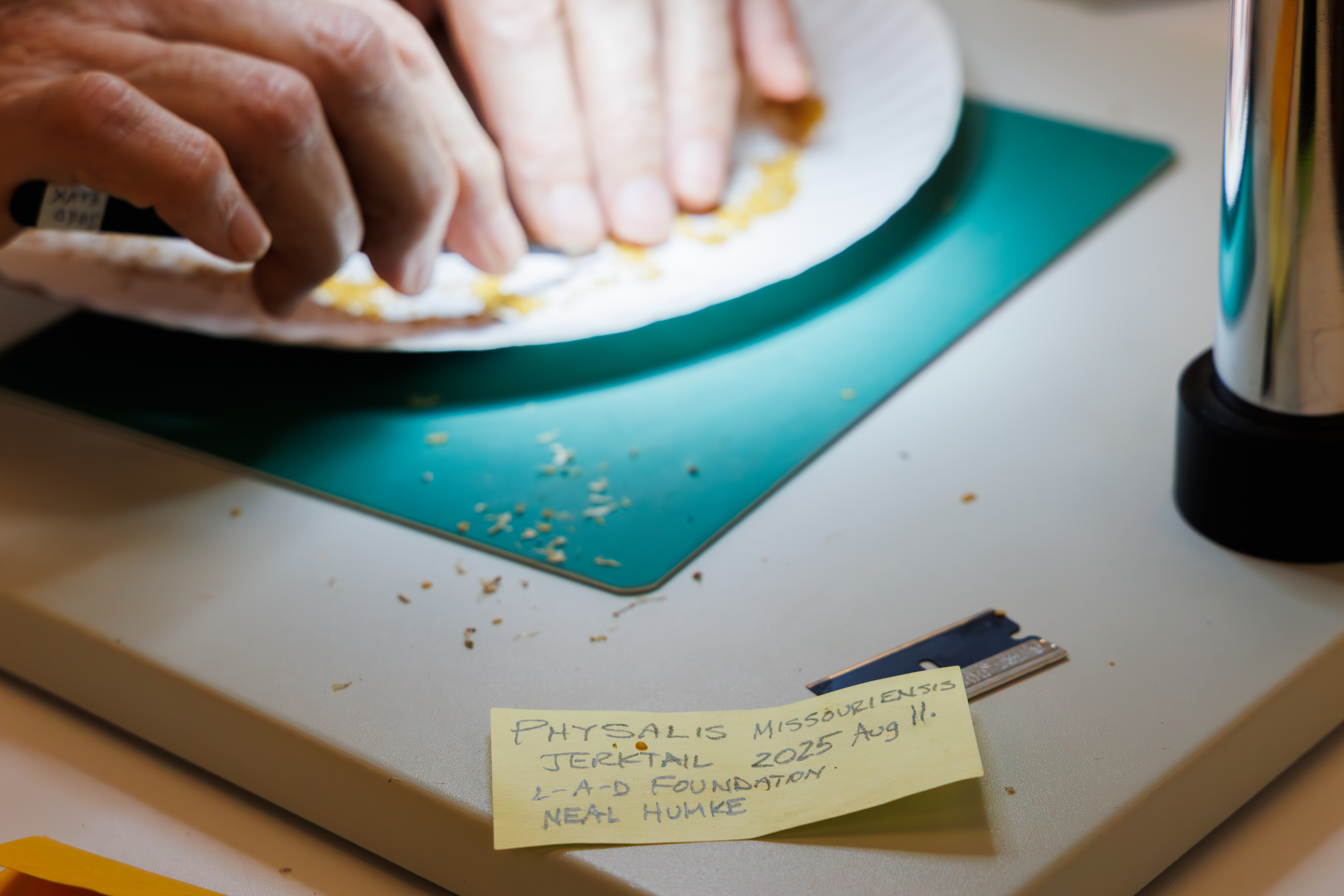 Supporting Seed Banks: The Missouri Botanical Garden’s Role in Global Efforts to Safeguard all the World’s Plant Species