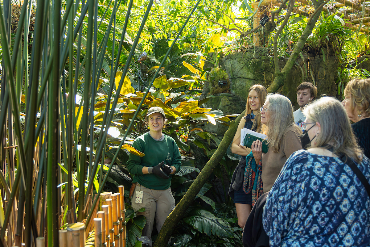 IN PHOTOS: 2025 At the Missouri Botanical Garden - Discover + Share