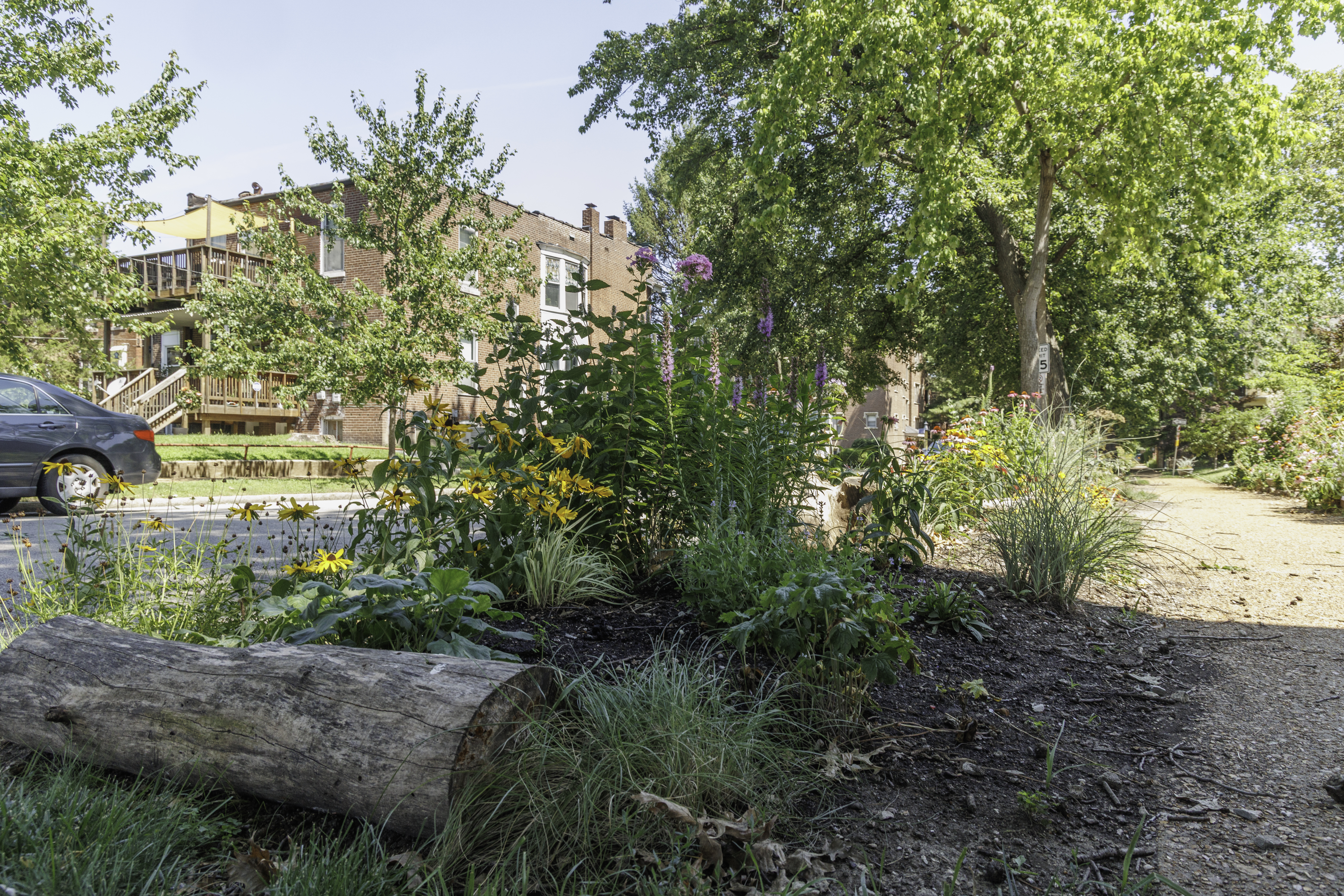 Planning a Pocket Prairie